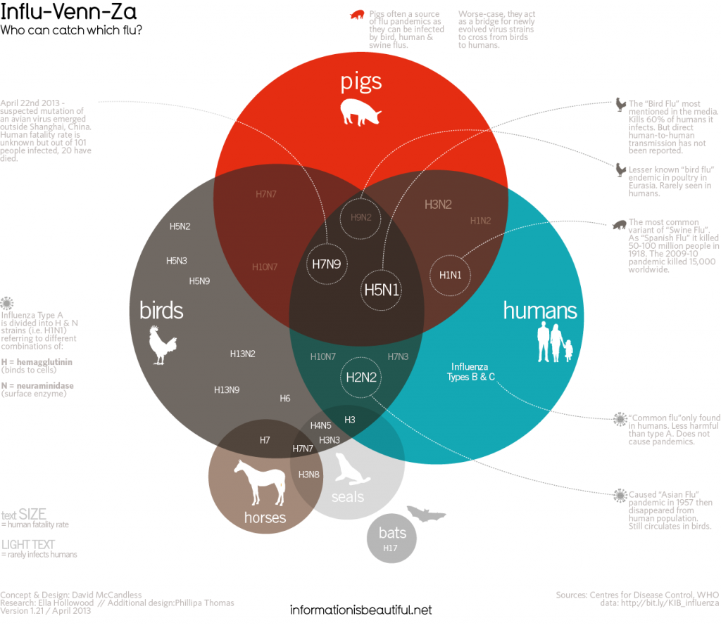 Data Visualization: tudo o que você precisa saber para otimizar a apresentação dos seus dados