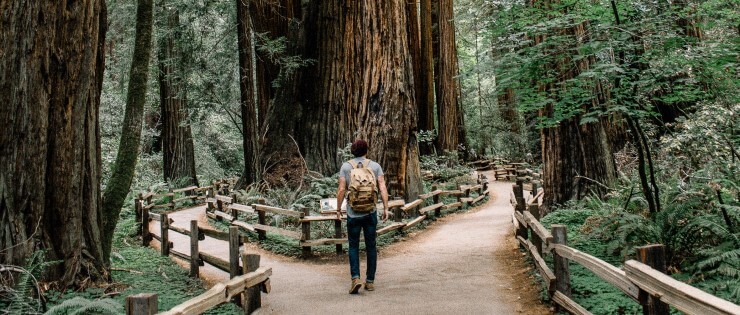 Tomada de decisão: como tomar decisões melhores e mais seguras na empresa?