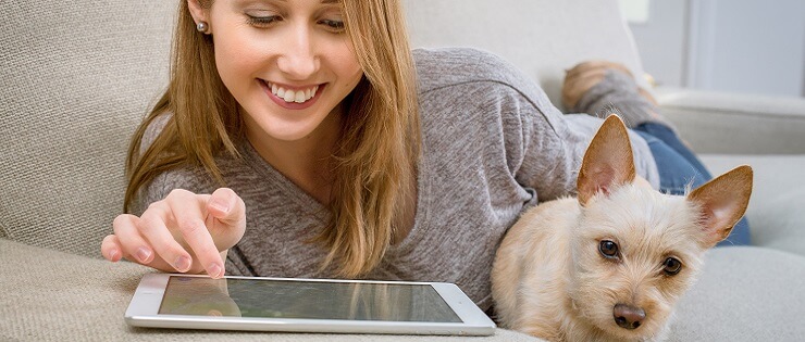 Pesquisa sobre animais de estimação: por dentro do mercado de pets no Brasil