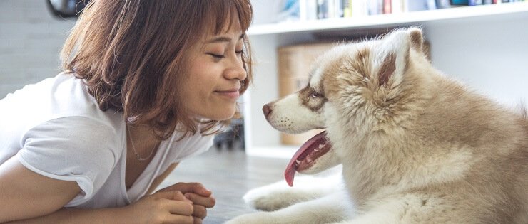 Modelo de questionário de pesquisa: pesquisa sobre animais de estimação
