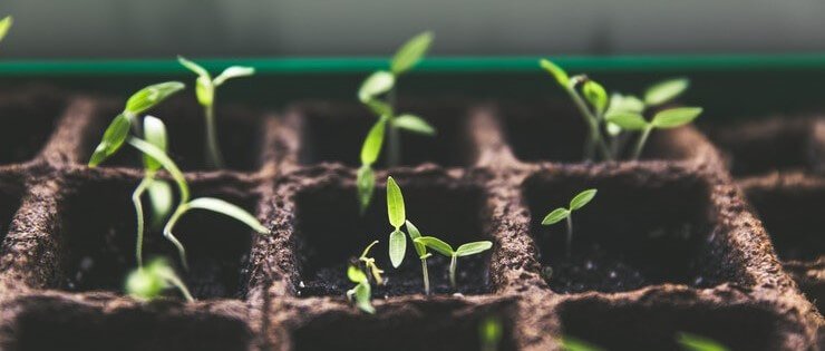 mvp o que e O que é MVP e como tirar seu produto minimamente viável do papel