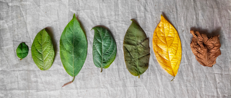 customer life cycle Ciclo de vida do cliente: o que é e como fazer uma boa gestão do seu